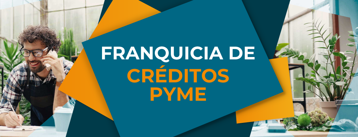 Banner_Creditos_pyme